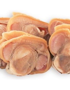 CARNE ALMEJA