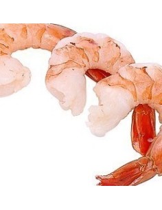 GAMBA  PCS