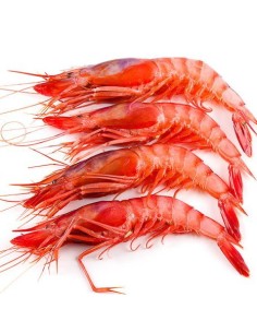 GAMBA COCIDA gg