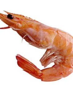 LANGOS  COCIDO