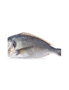 FILETE DE DORADA