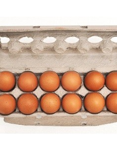 HUEVOS