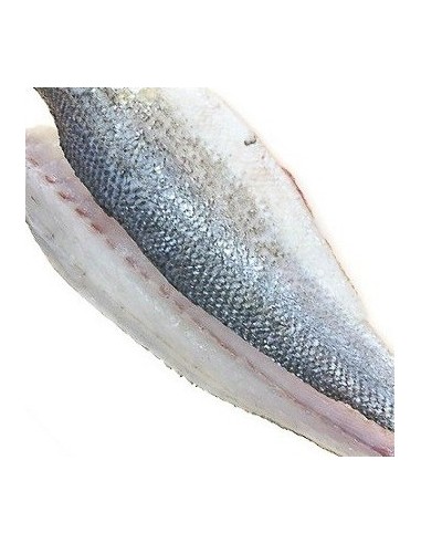 filete de LUBINA