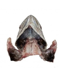 KOKOTXAS MERLUZA