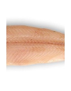 FILETE PALOMETA