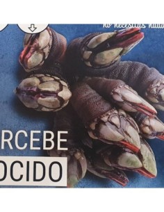 PERCEBE COCIDO