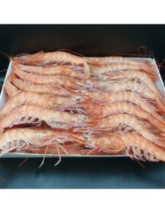 CAJA GAMBAS PLANCHA