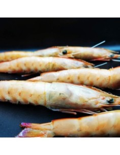 LANGOSTINOS
