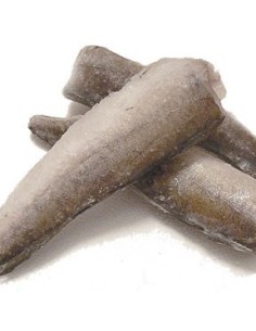 MERLUCILLA