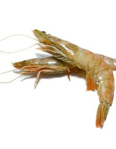 LANGOS. CRIANZA caja