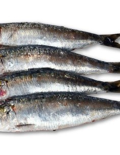 SARDINAS