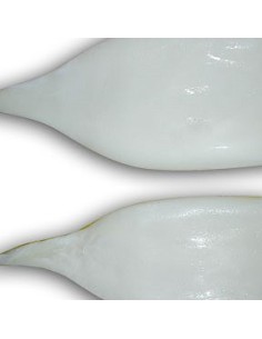 TUBO CALAMAR