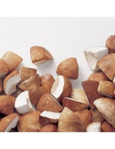 bolsa BOLETUS 0.500g